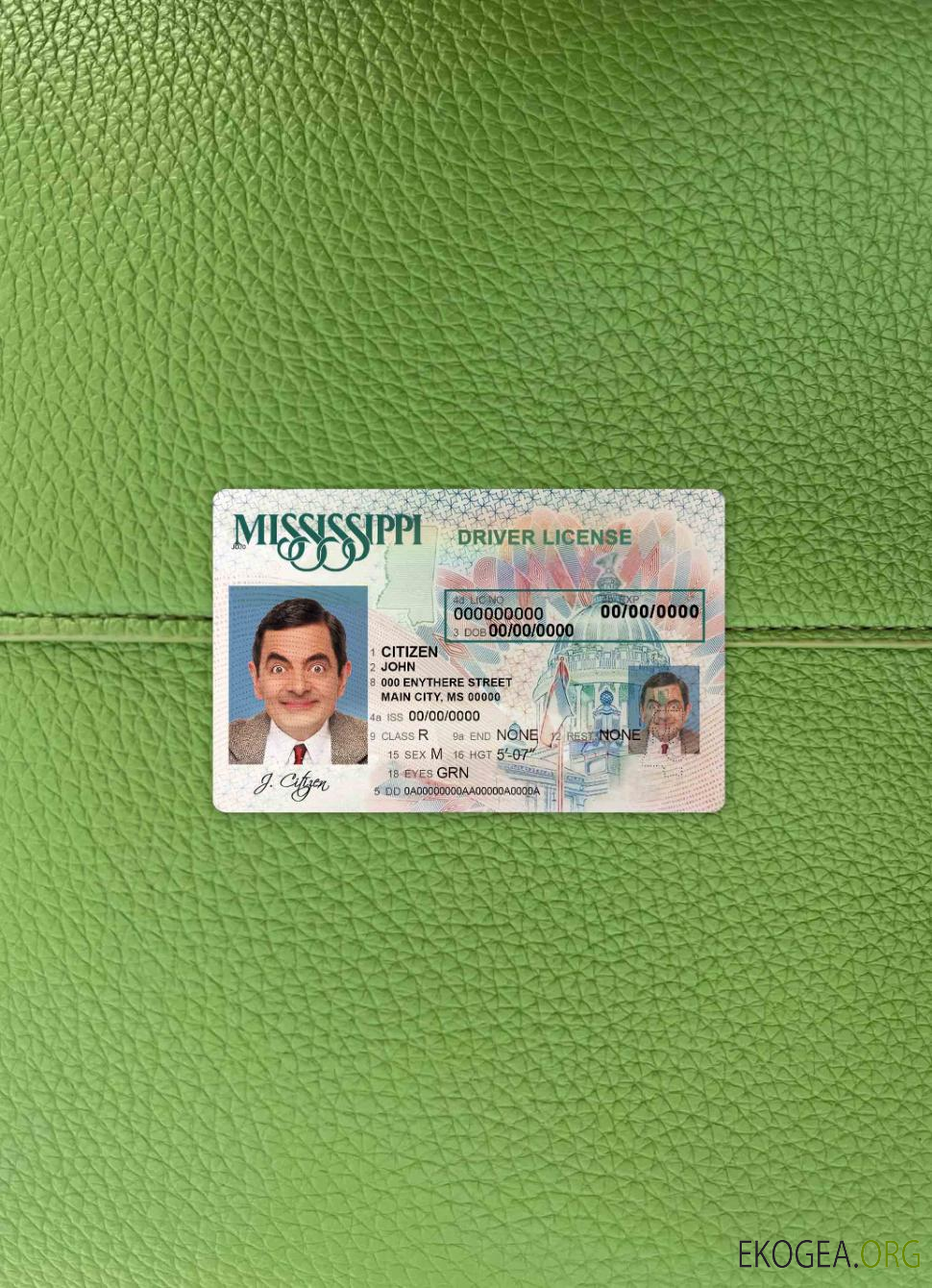 USA Mississippi DL photolook AVANT